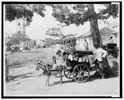 HistoricalFindings Fotoğraf: Keçi Vagonu Seyyar Satıcısı,1895,1920, Sokak Satıcısı, Küba, people, Ağaçlar, Binalar