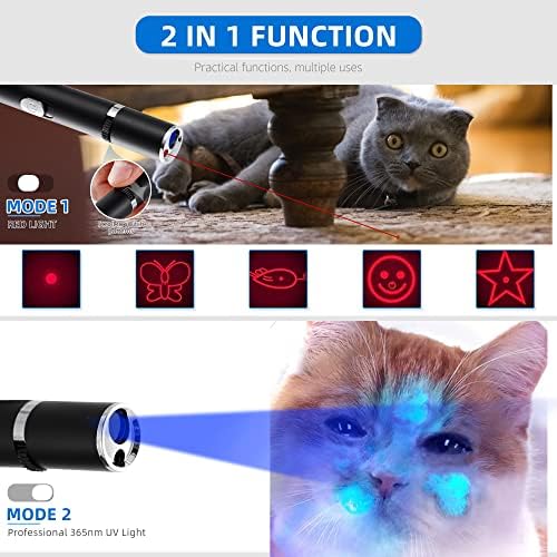 İnteraktif Kedi Köpek Oyuncak ve Mini UV El feneri Siyah ışık Şarj edilebilir, 2'si 1 arada İşlev, Evcil Hayvan Lekeleri