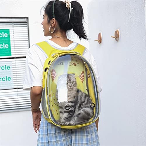ADKHF Taşınabilir Pet Taşıyıcı Çanta Nefes Karikatür Açık Seyahat Sırt Çantası Köpek (Renk: C, Boyutu: 43 * 31 *
