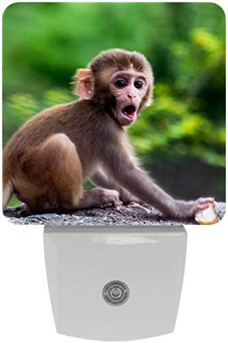 2 Paket Sıcak Beyaz LED Gece Lambası Sevimli Maymun Bebek Hayvan Alacakaranlıktan Şafağa Sensörlü Kompakt Gece Lambası
