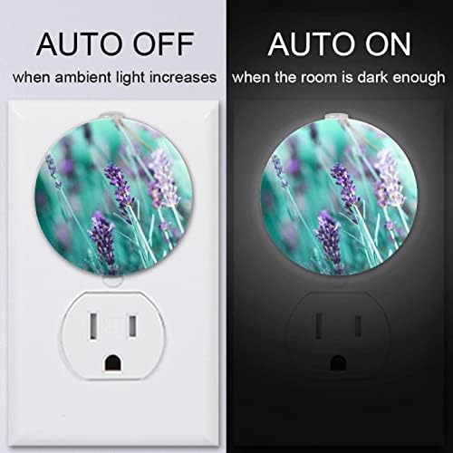 2 Paket Plug-in Gece Lambası LED Gece Lambası Lavanta Alacakaranlıktan Şafağa Sensörü Çocuk Odası, Kreş, Mutfak,