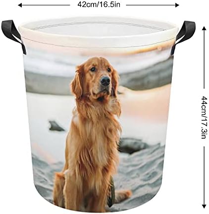 FoDuoDuo çamaşır sepeti Sarı Golden Retriever Köpek Çamaşır sepeti Kolları İle Katlanabilir Sepet Kirli giysi saklama
