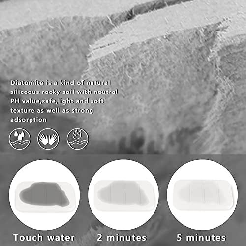 Adorila 2 Paket Diyatomit Sabunluk, Emici çubuk sabun Tutucu Ped Banyo, Kendinden Kuru Sabun Koruyucu Konteyner (Beyaz)