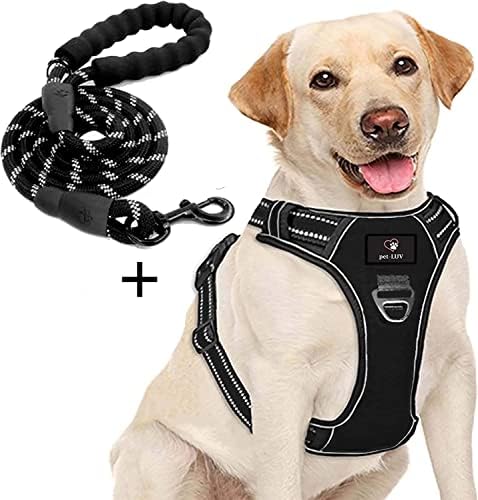 Hiçbir Çekme Köpek Koşum Yansıtıcı Ayarlanabilir Yelek ile bir Eğitim Kolu, ve Özel Ad, ve Telefon Numarası (XLarge,