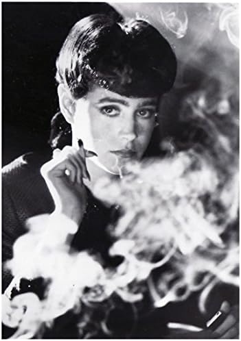 Blade Runner Sean Young Rachael sigara içen sigara b&w 8 x 10 İnç Fotoğraf
