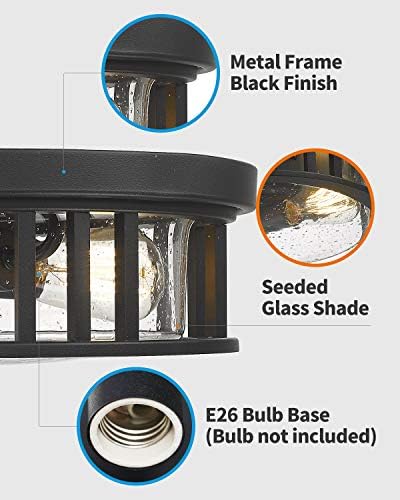 FEMİLA 13 inç Gömme Montajlı Tavan lambası, 2-Light Endüstriyel tavan lambası Fikstürü, Seribaşı Camlı Siyah Kaplama,